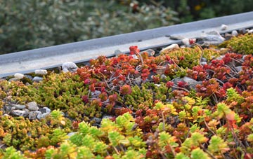 the cost of Broadwoodwidger green roof installation
