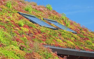 Broadwoodwidger living roof systems