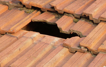 roof repair Broadwoodwidger, Devon