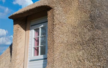 Broadwoodwidger thatch roof disadvantages
