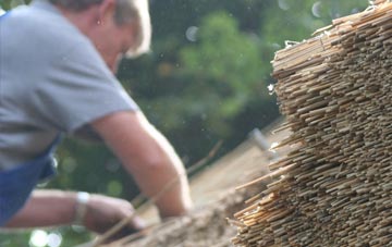 professional Broadwoodwidger thatchers