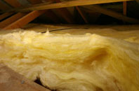 Broadwoodwidger pitch roof insulation